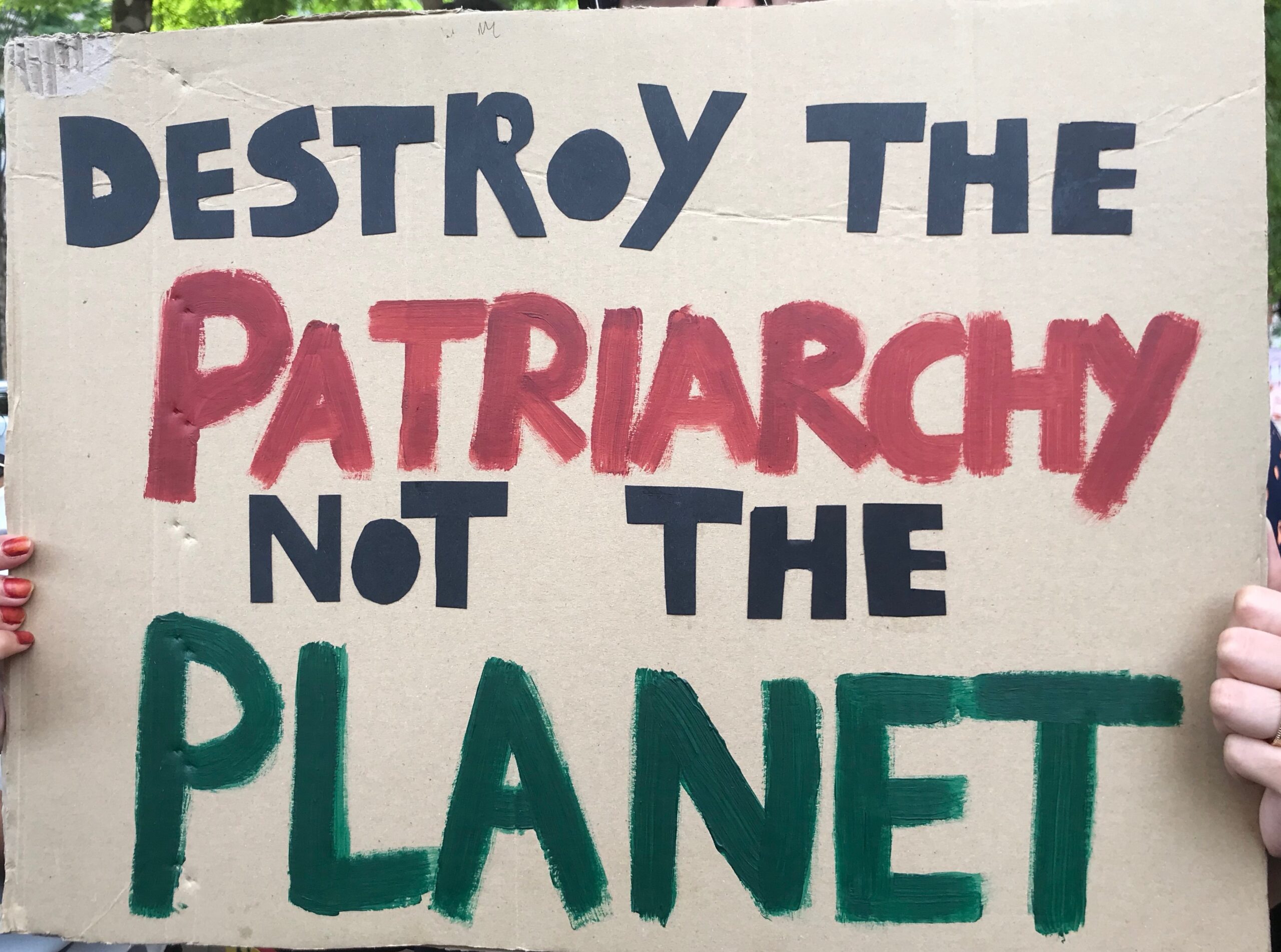 Destroy The Patriarchy Not The Planet